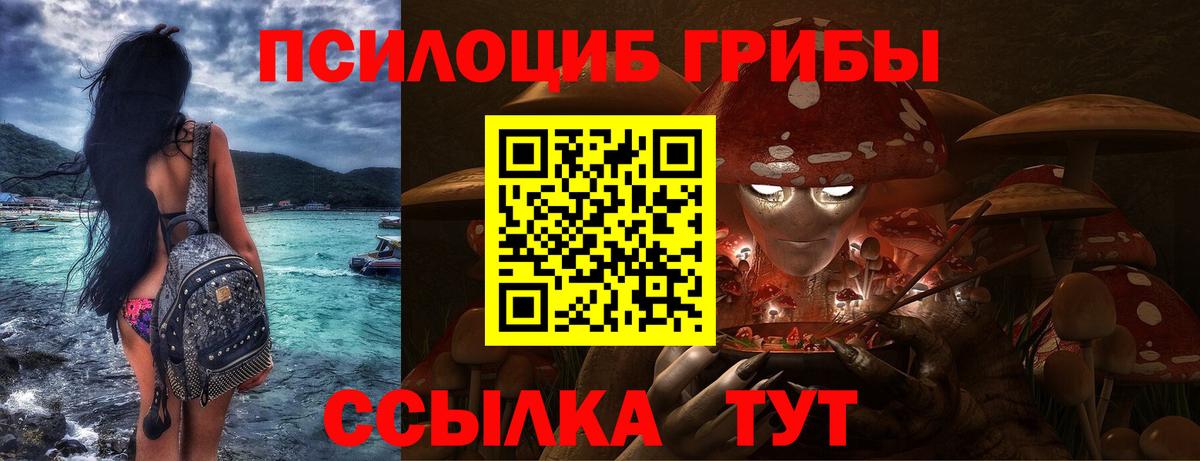 Галлюциногенные грибы Cubensis  Вход с VPN  Прохладный  Псилоцибиновые грибы Magic Shrooms 