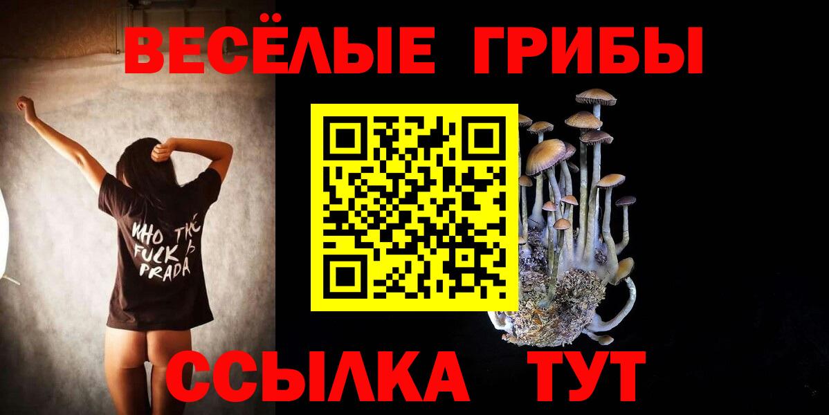 Псилоцибиновые грибы прущие грибы Прохладный