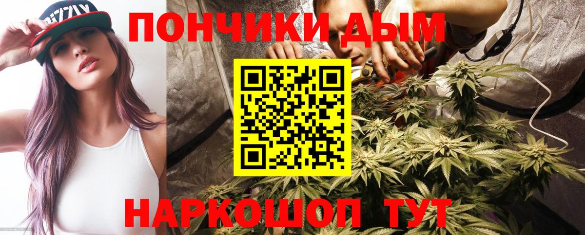 Марихуана индика  Канабис план  Бошки Шишки AK-47  Прохладный  Вход с VPN 